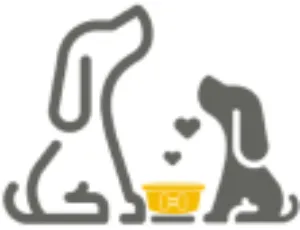 Hundefutter Vergleich 24