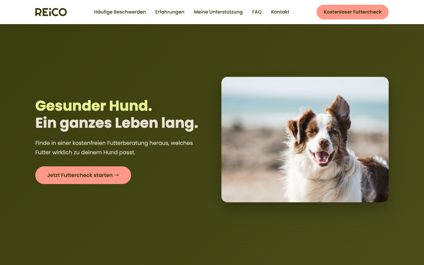 Hundefutter Vital · Neukunden-LP Desktop-Ansicht