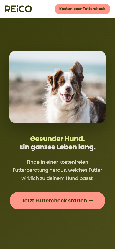 Hundefutter Vital · Neukunden-LP Mobile-Ansicht